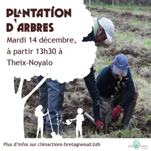 plantation arbres