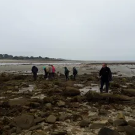 Les sentinelles du climat à la Trinité sur mer