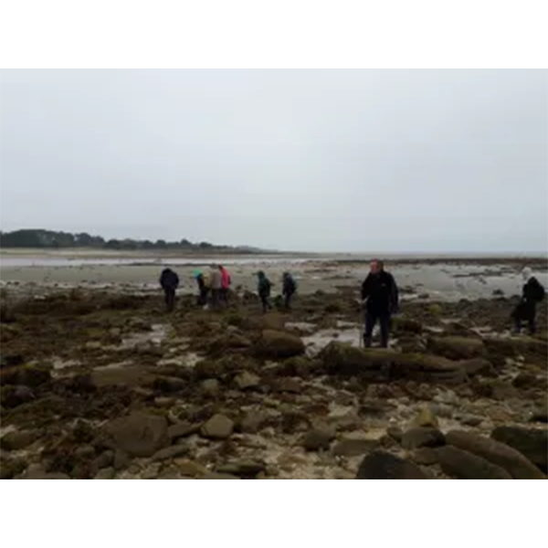 Les sentinelles du climat à la Trinité sur mer