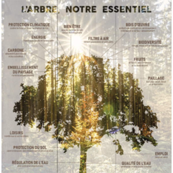 Les rencontres bretonnes de l’arbre 2021  avec Clim’actions !