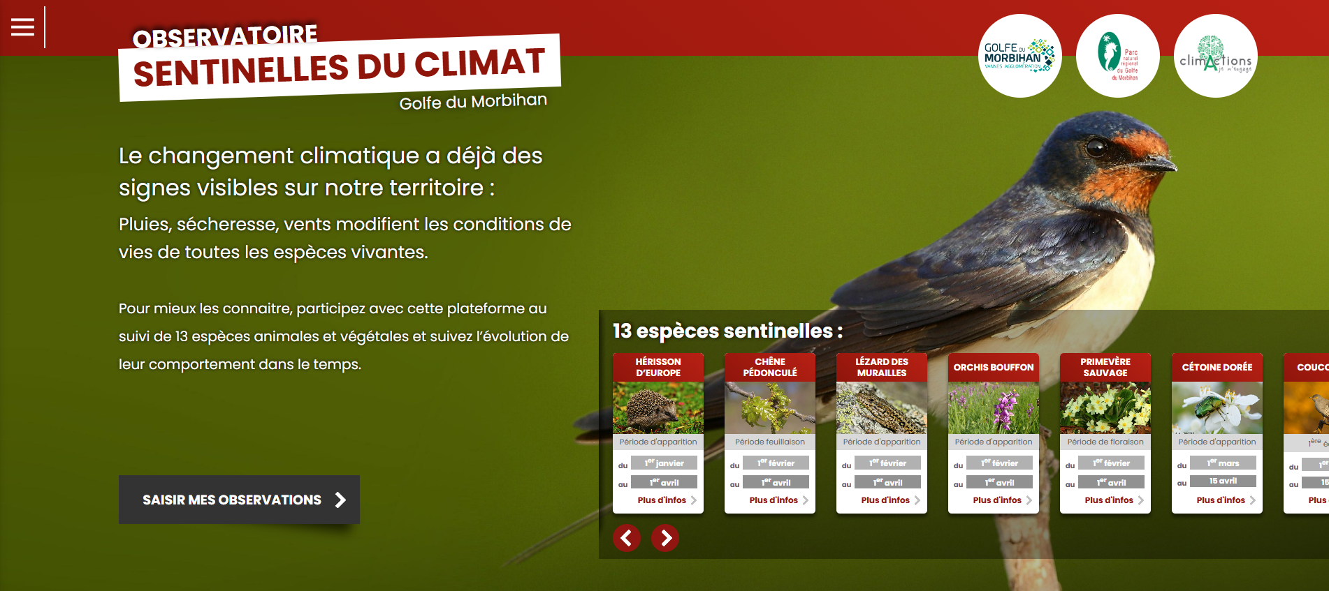 page d'accueil du site web sentinelle du climat