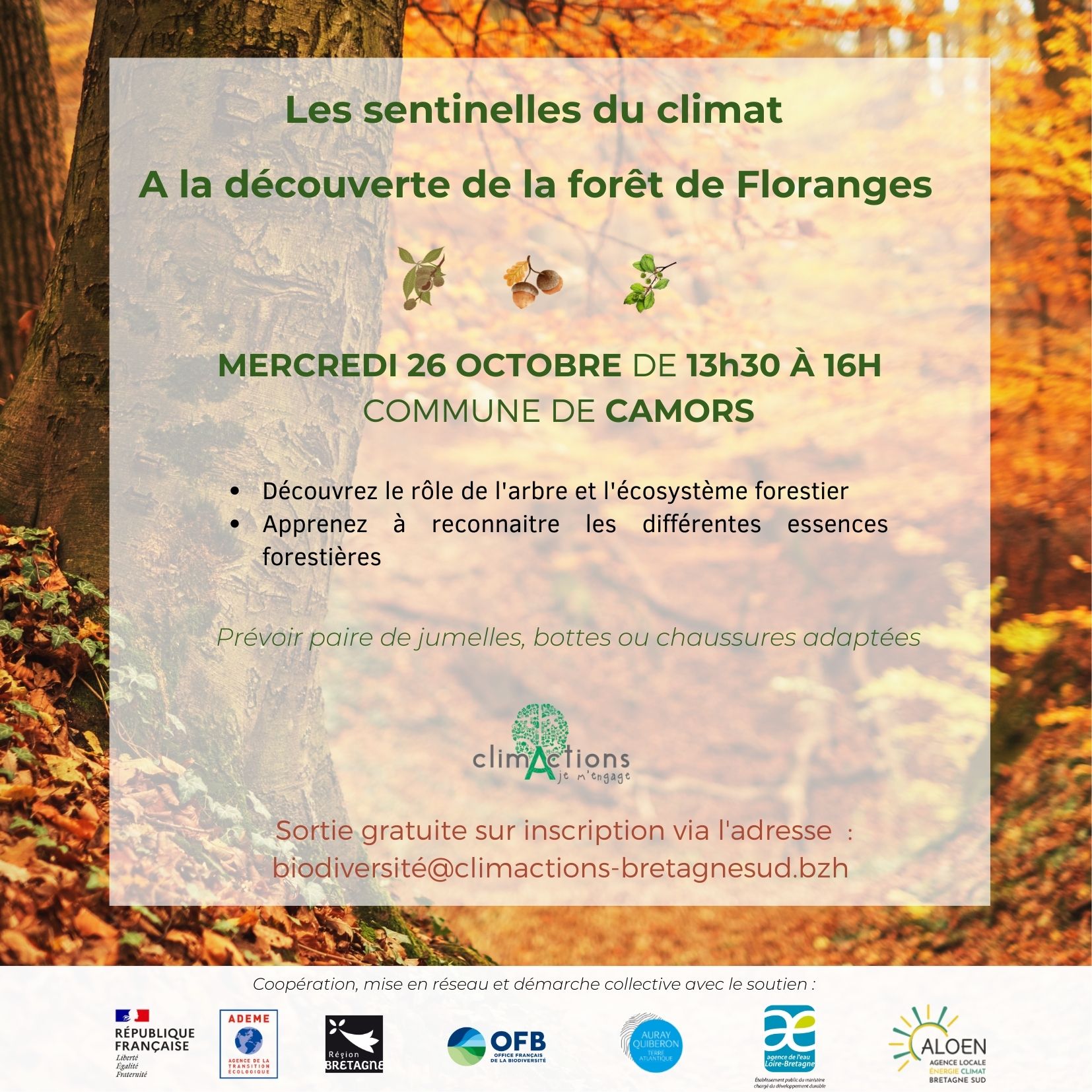 Découverte de la forêt de Floranges