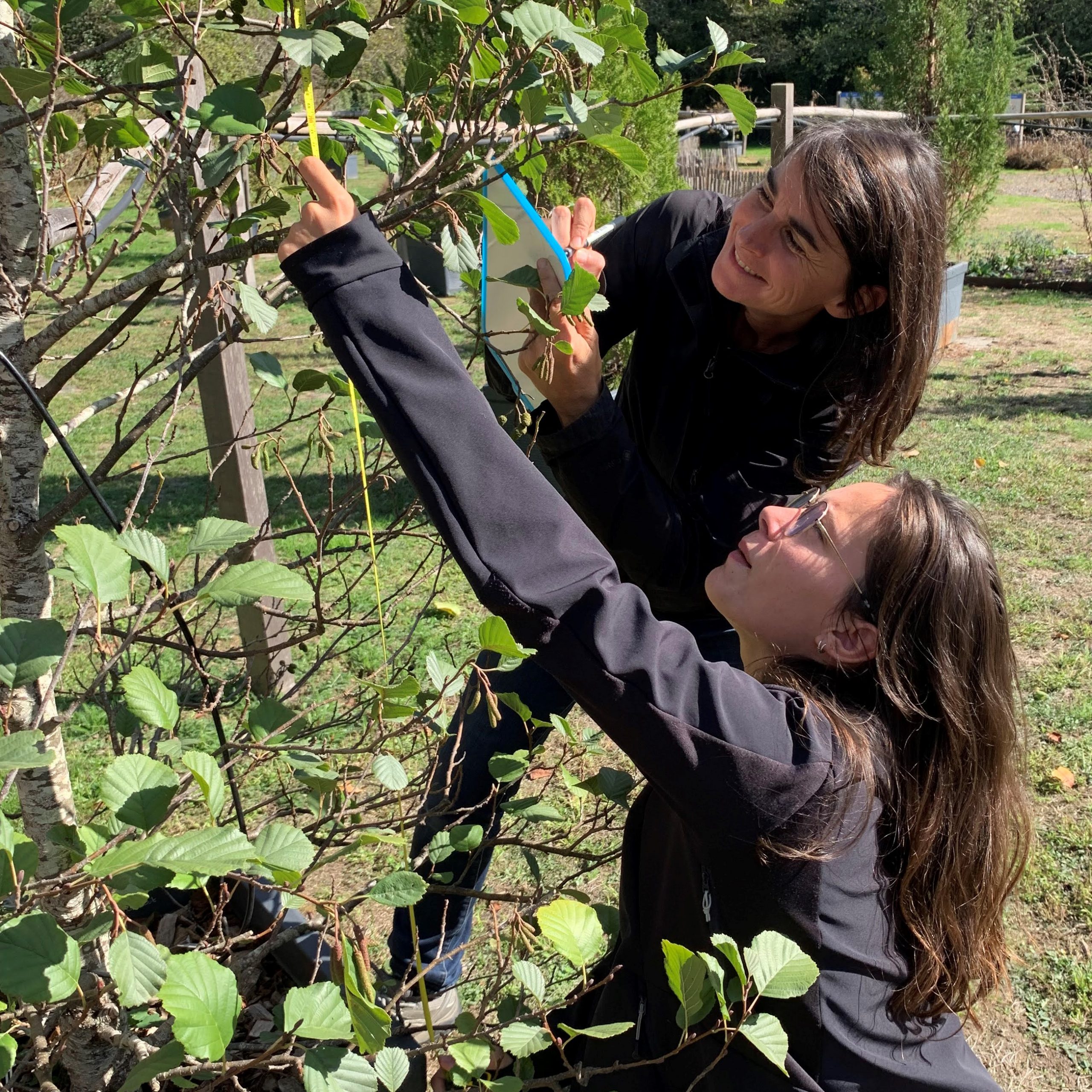 Participez au suivi des plantations Clim’Actions Bretagne pendant les vacances de la Toussaint