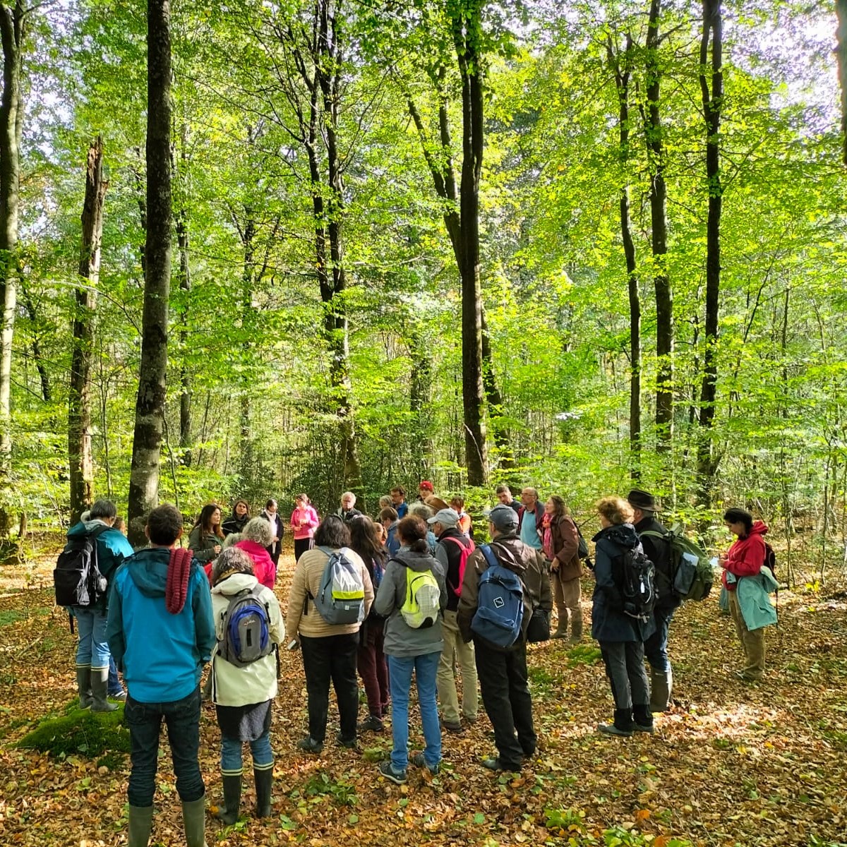 Devenez Ambassadrice, Ambassadeur de Clim’actions pour le Climat