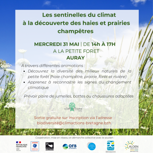 Sortie nature “La petite forêt” – Auray