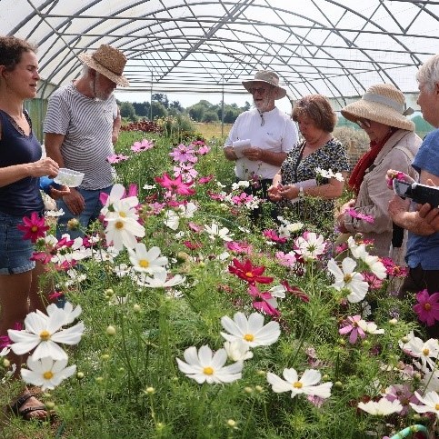 L’atelier jardin écoute pousser les fleurs … et les mange !