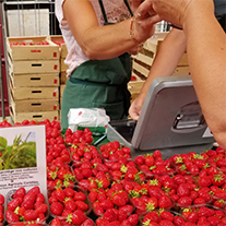 Vente de fraise locales sur un marché