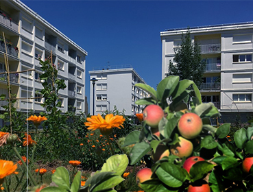 lotissement végétalisé grâce au jardin valorisé par les habitants