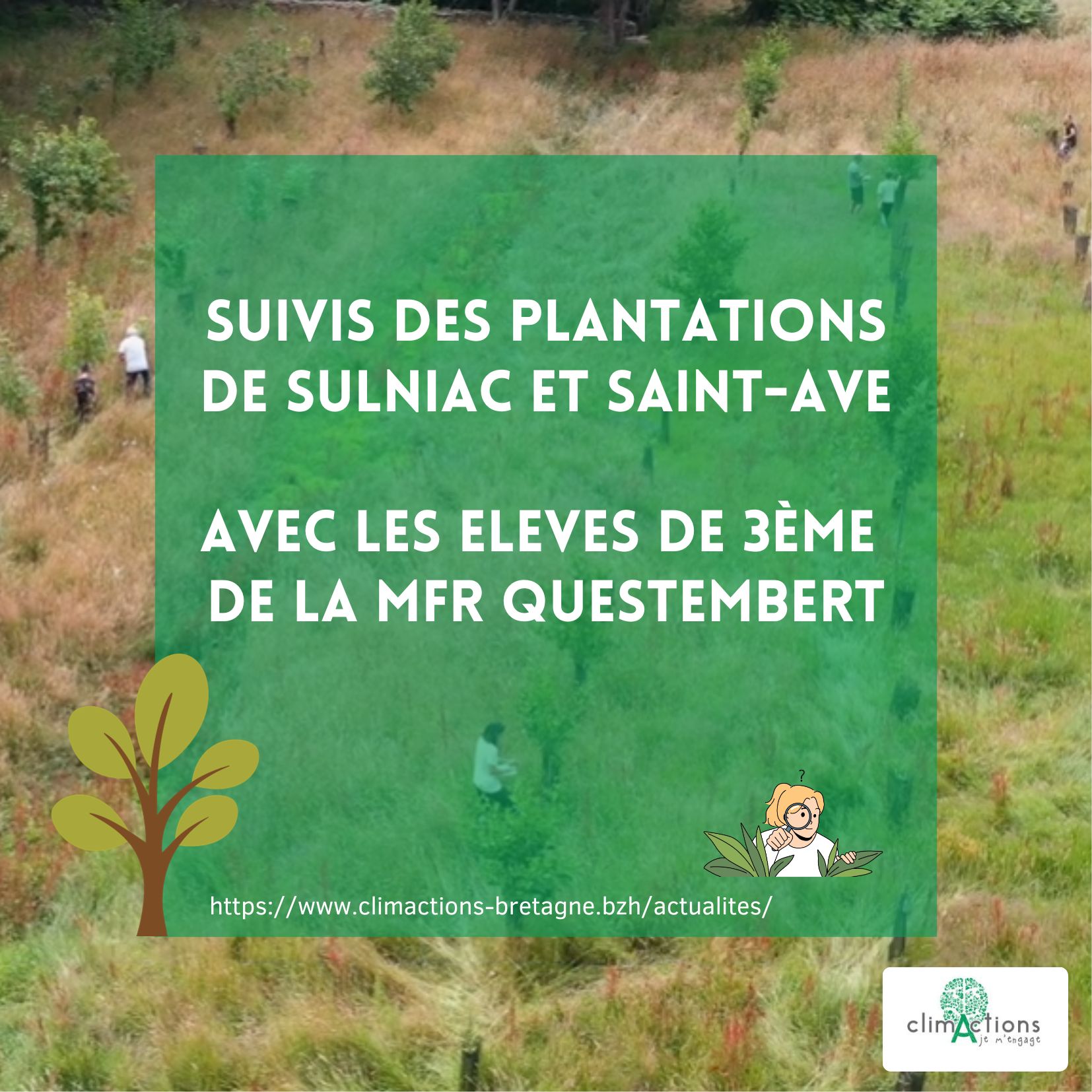 Suivis de plantations