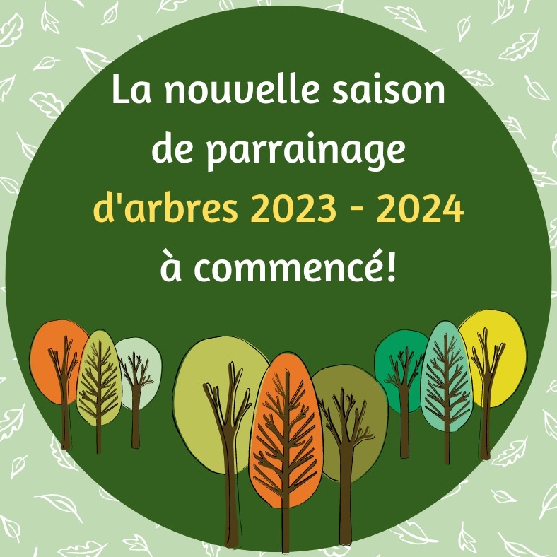 Nouvelle saison ! Nouvelles plantations !