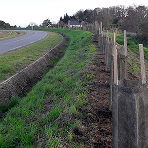 Une nouvelle plantation à Arradon avec Clim’Actions Bretagne !