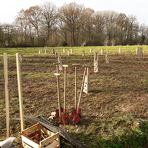 Plantation à Livré-sur-Changeon avec Clim’Actions