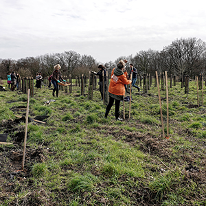 Plantation à Vannes avec Clim’Actions