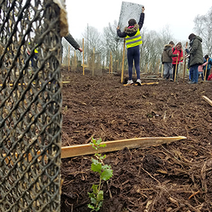 Plantation à La Vraie-Croix avec Clim’Actions