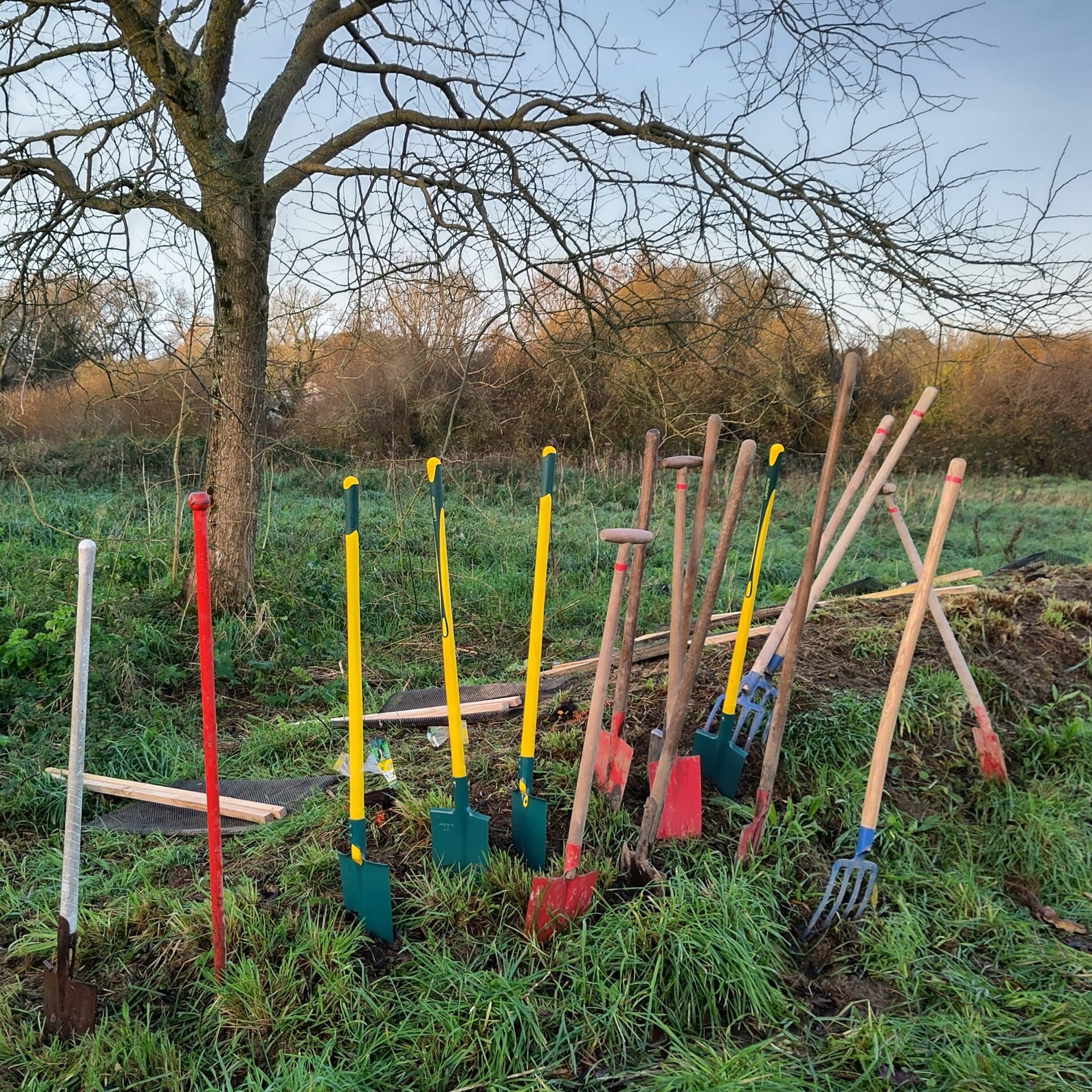 Plantation à Locqueltas
