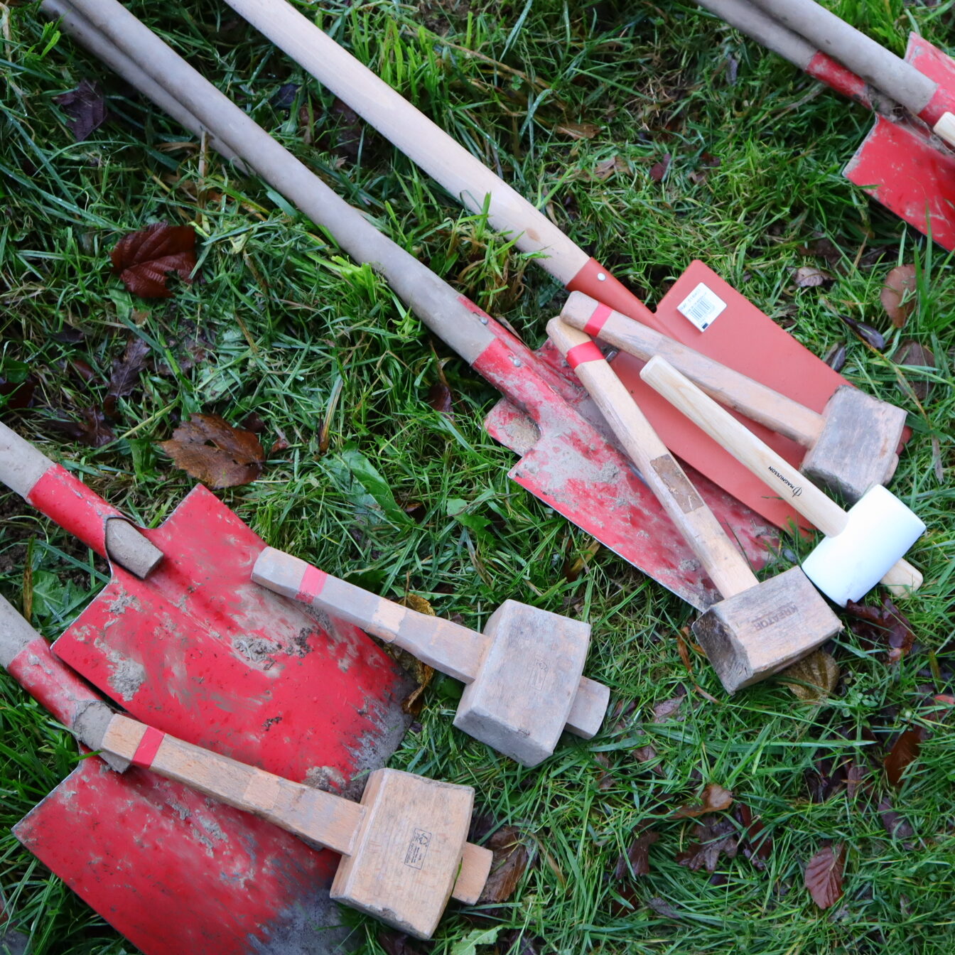 Le programme forêt en images !
