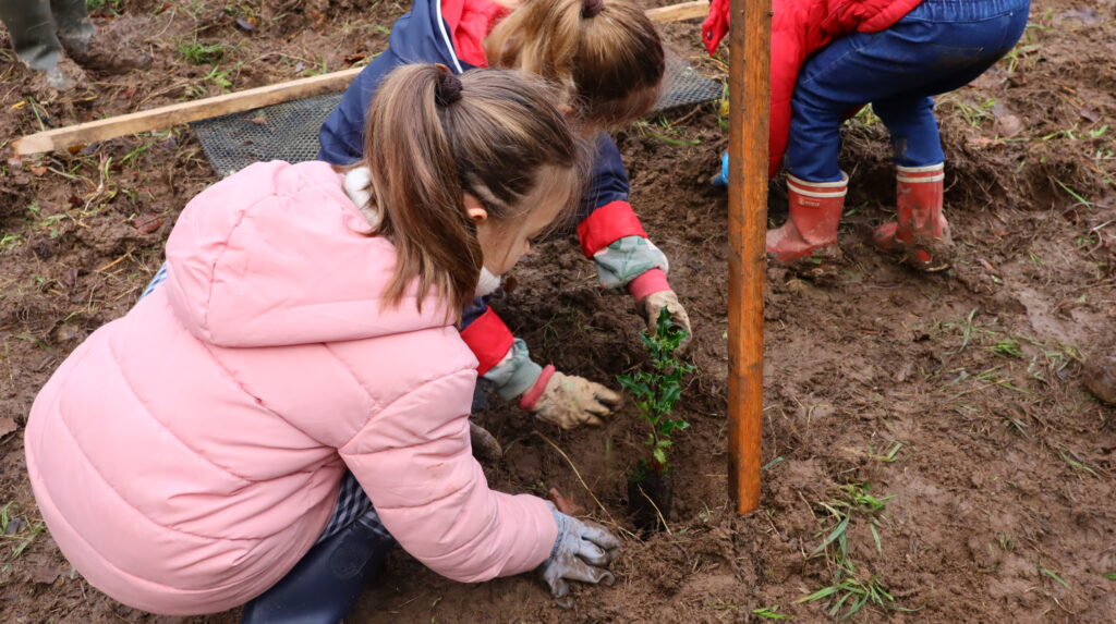 Deux enfants qui plantent un arbre
