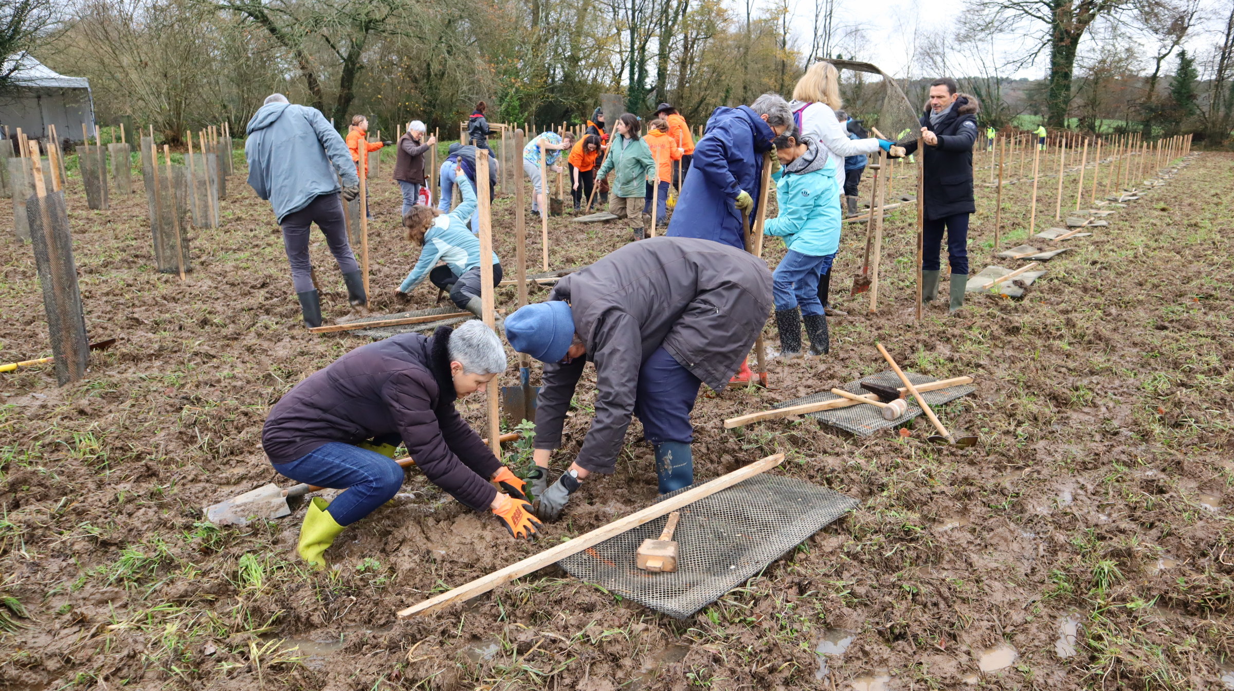 partenaires qui plantent un arbre