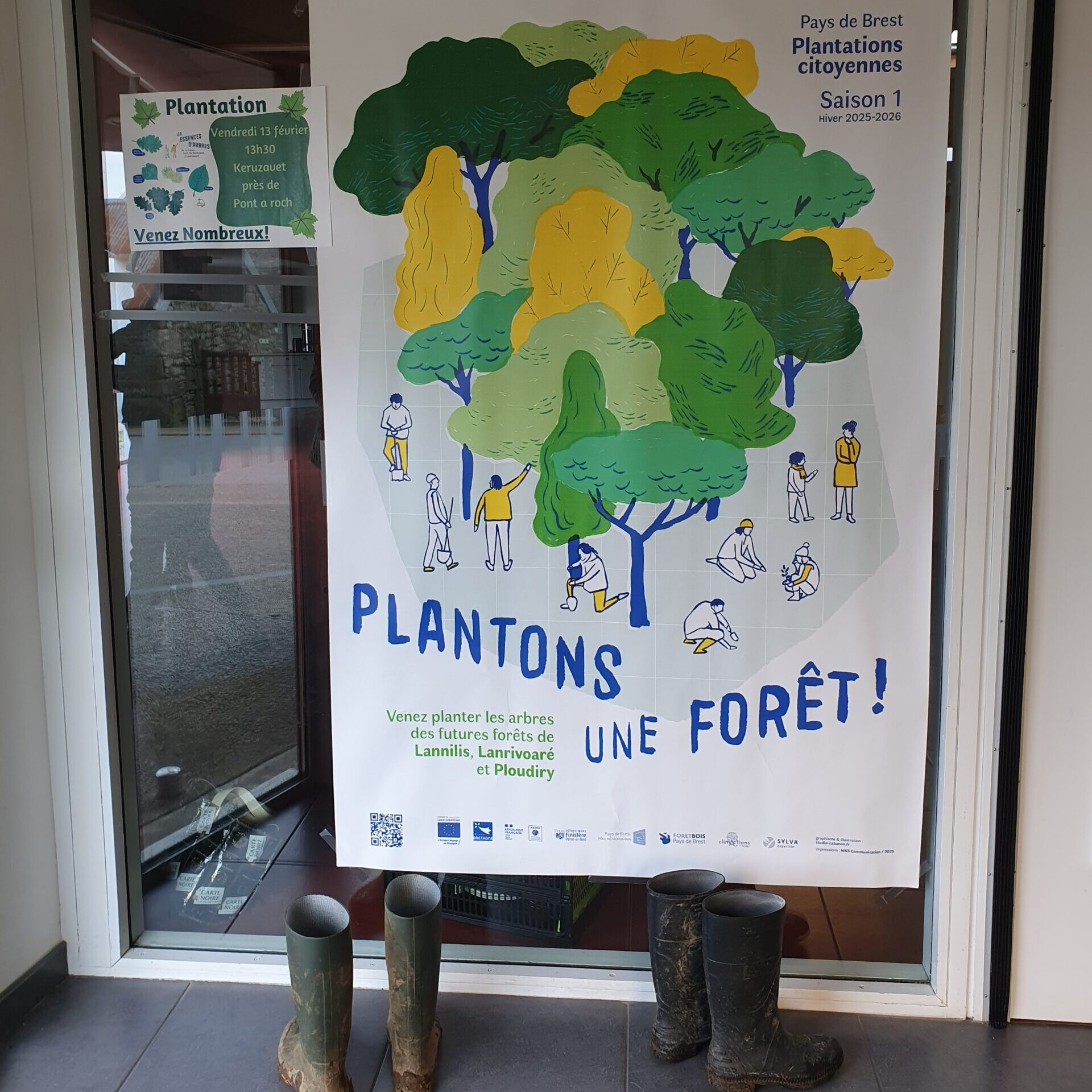 Nouvelles plantations dans le Finistère