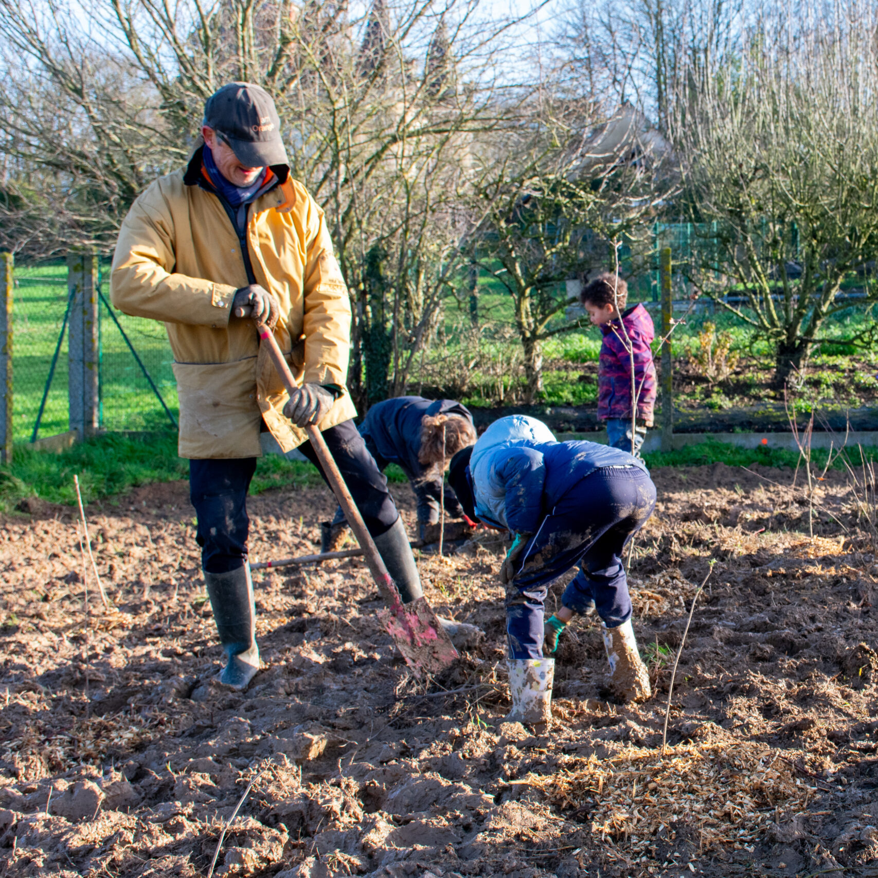 Plantation à Mordelles