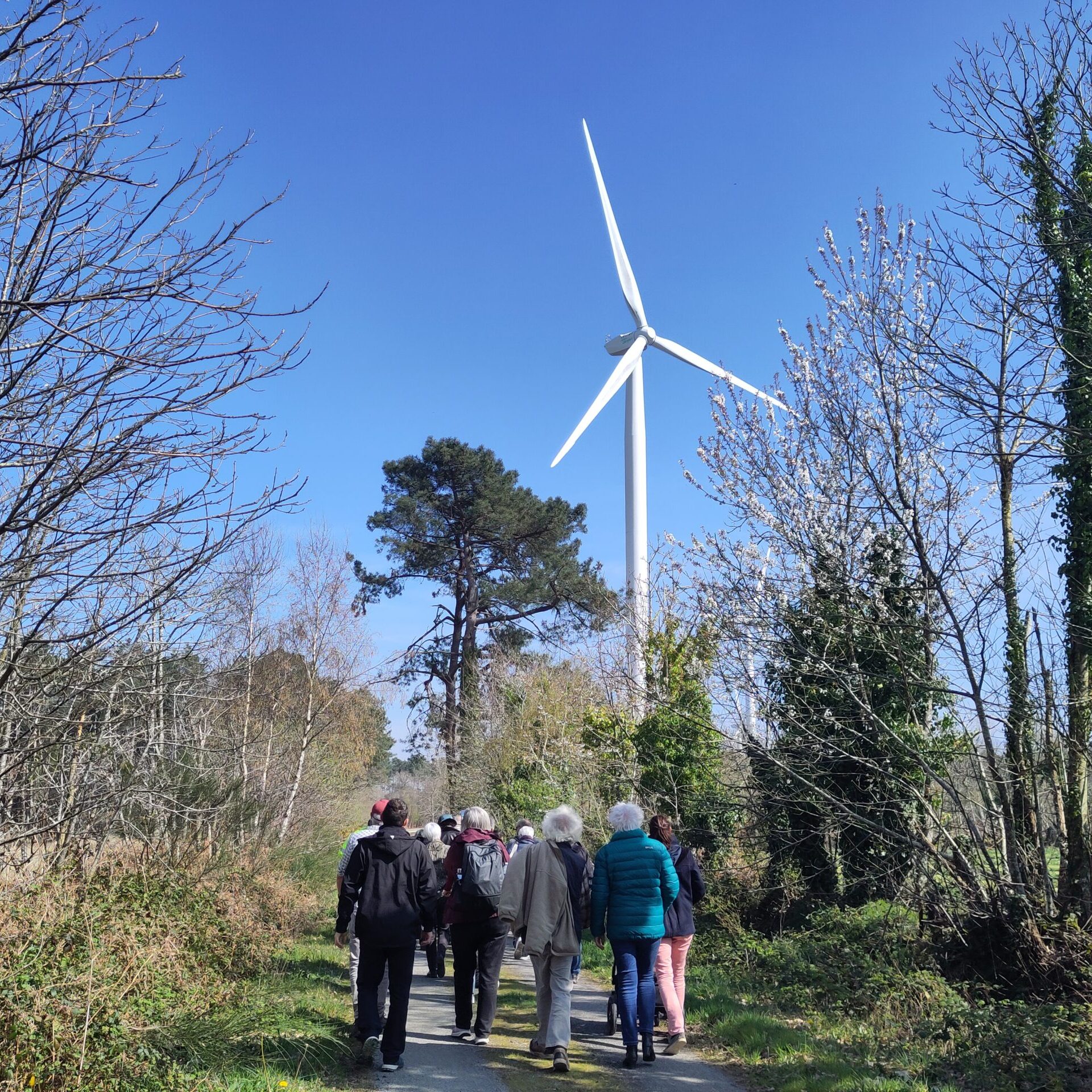 Retour sur la formation Ambassadeurs du climat