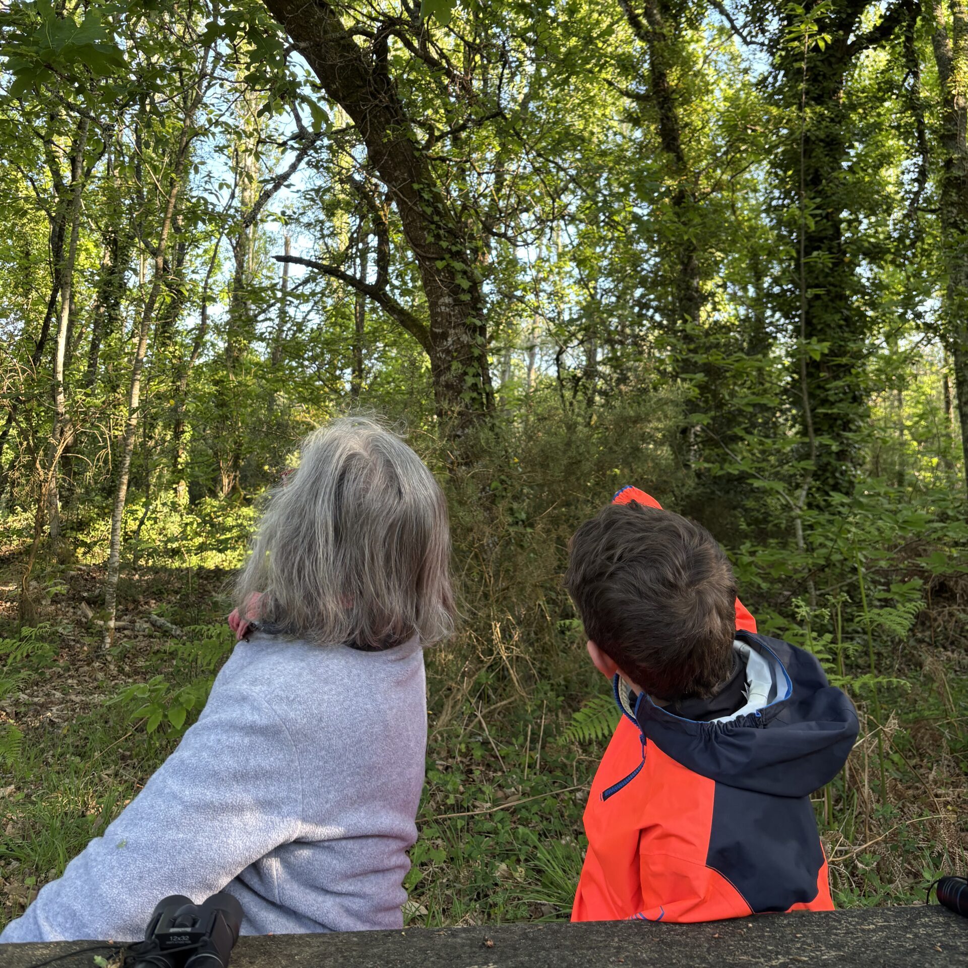 Retour sur la sortie : les secrets de la forêt