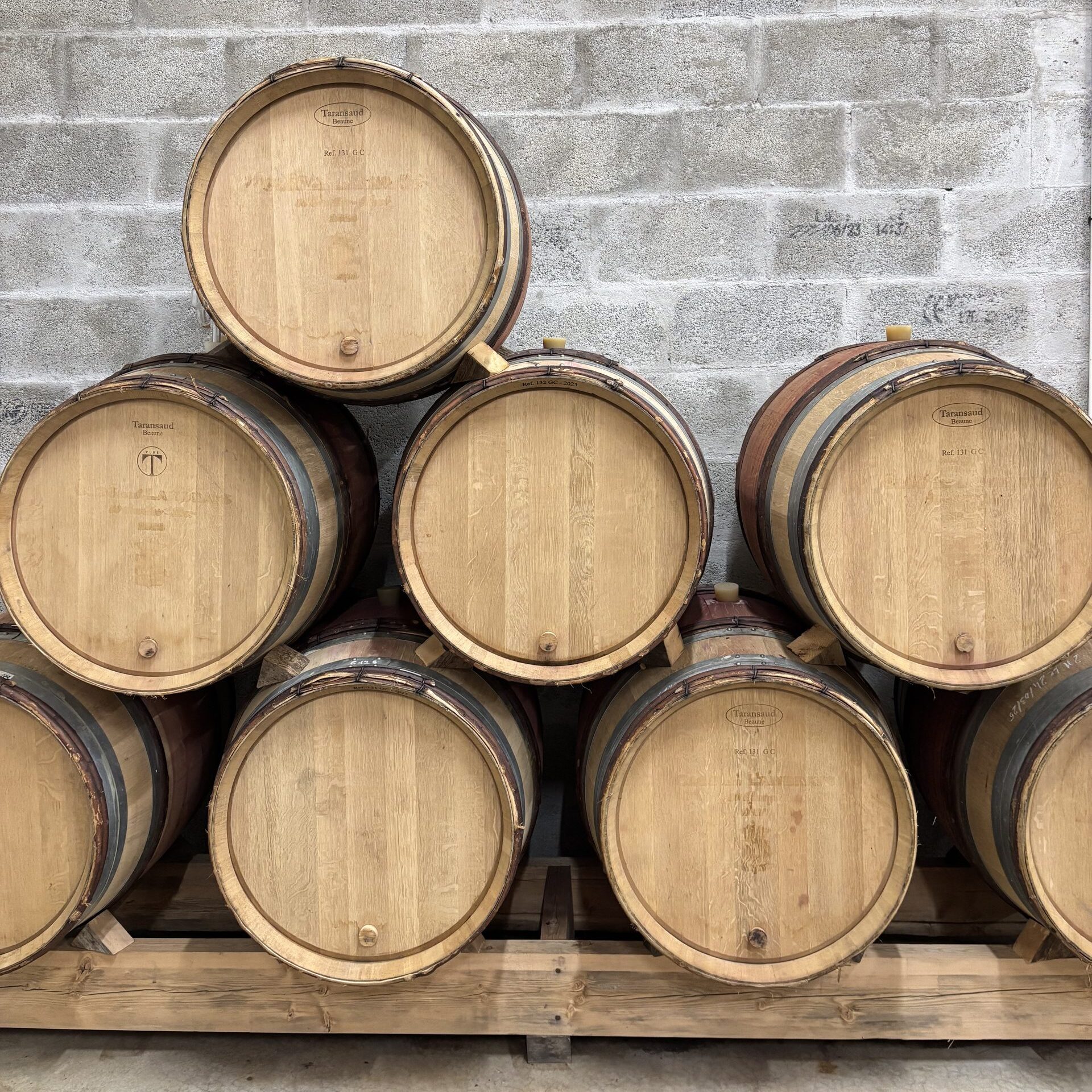 A la rencontre d’un api-vigneron breton